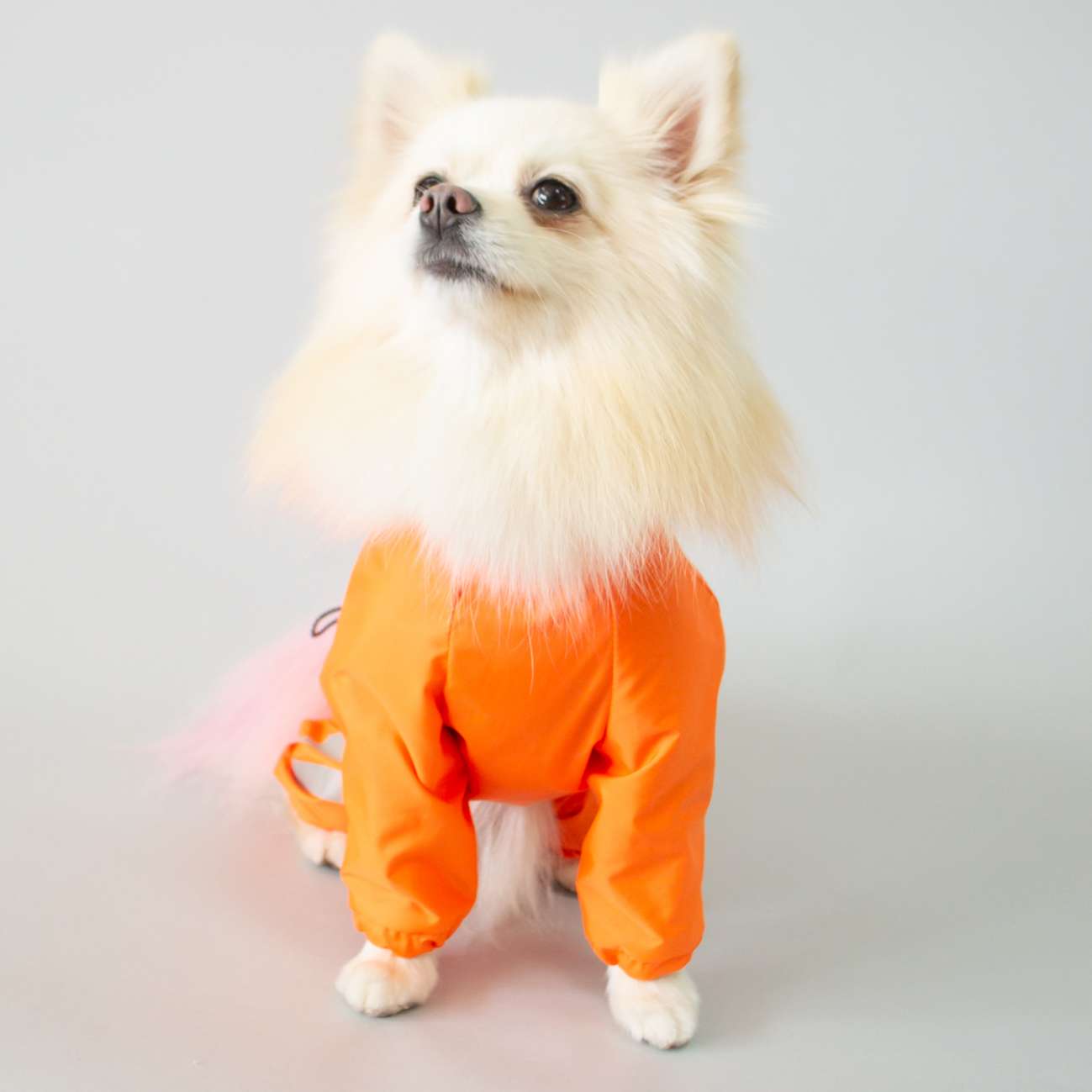 Дождевик для собаки Puffy Rich