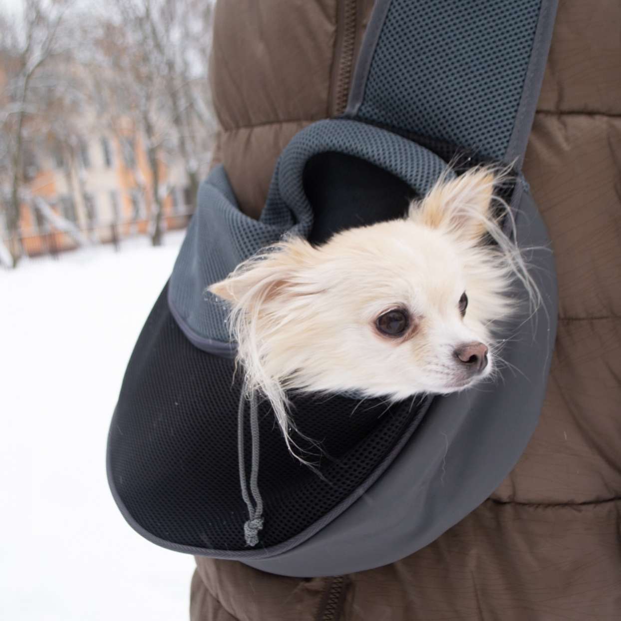 Слинг для собак Pet Радуга