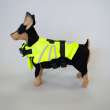 Спасательный жилет Pet Крылышки