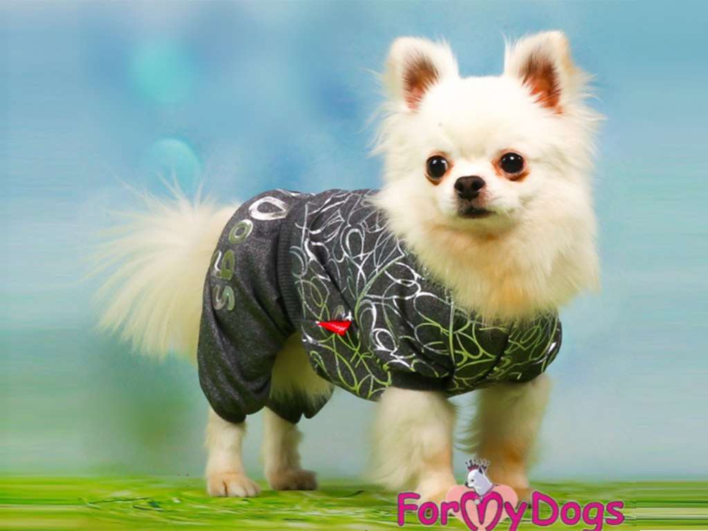 Костюм для собак трикотажный ForMyDogs Металлик