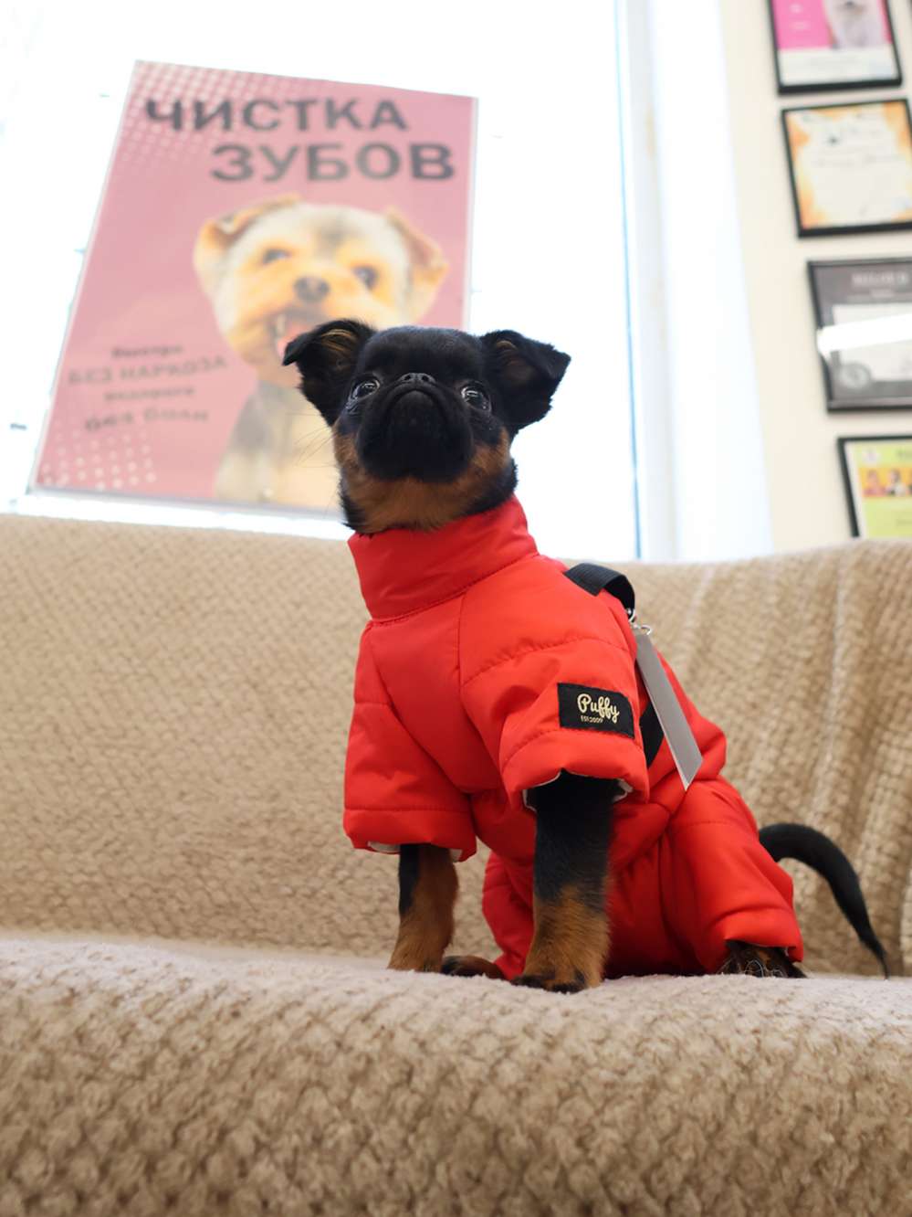 Комбинезон для собак со шлейкой Puffy Фикс красный