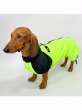 Дождевик для таксы и корги Puffy Лайм Салатовый