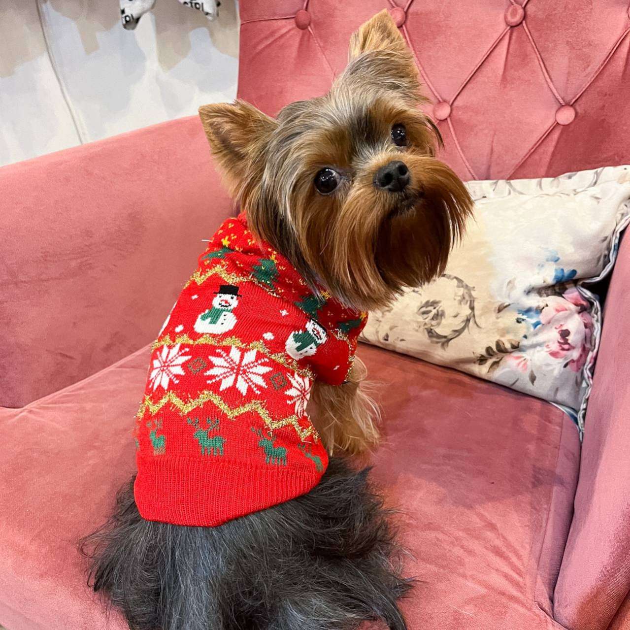 Свитер для собак Triol Снеговик