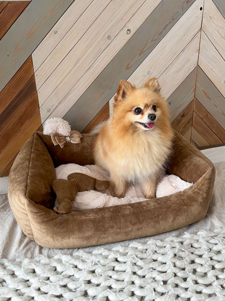Диван для собаки Puffy Умка Шоколадный