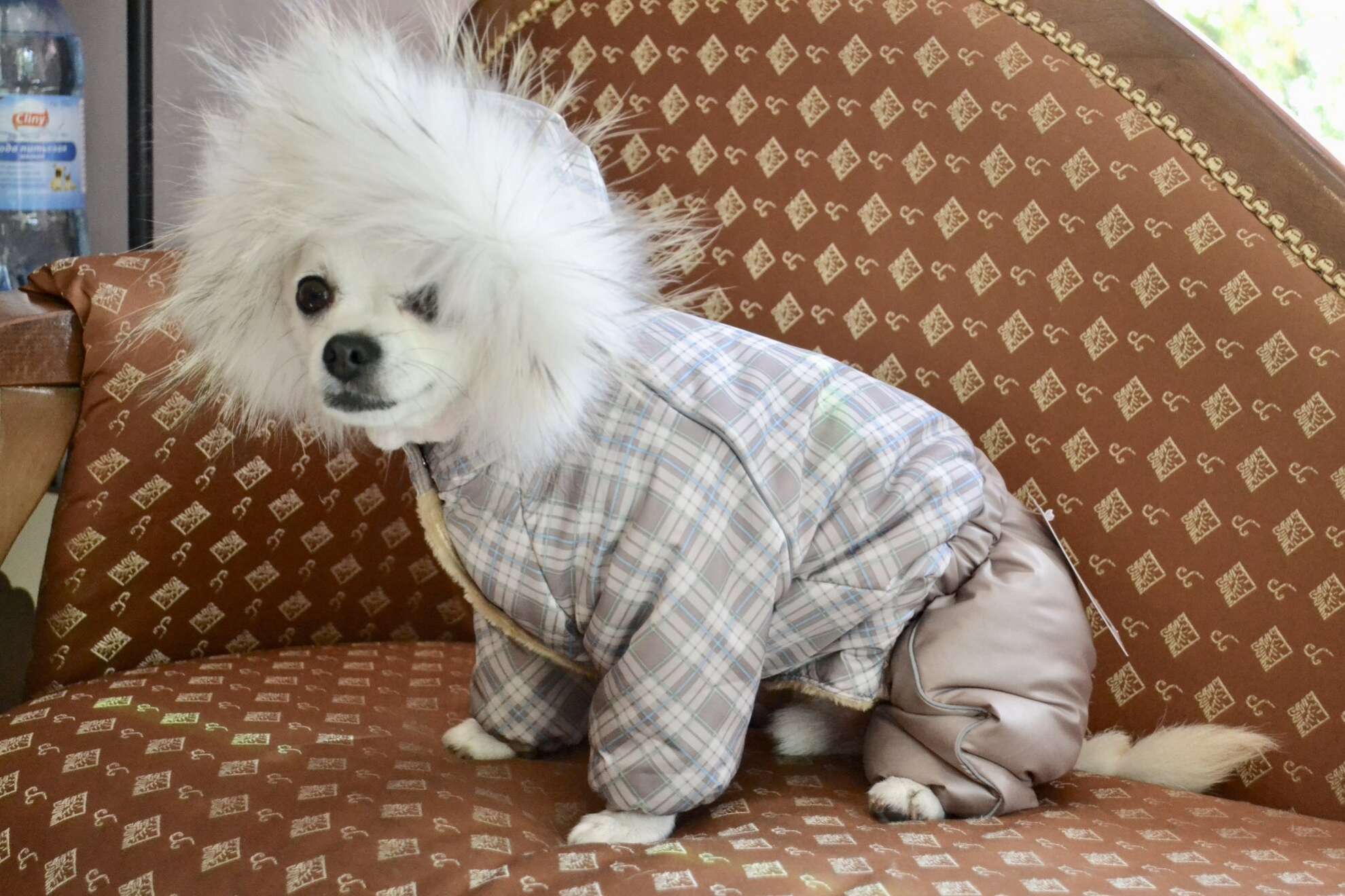 Комбинезон для собак Арктика Клетка