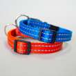 Ошейник для собак Нейлон светоотражающий