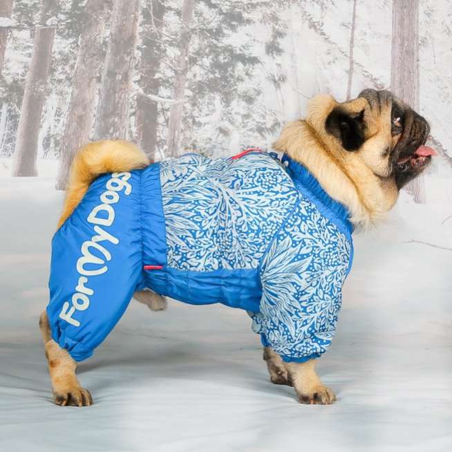 Комбинезон для собак на широкую грудь ForMyDogs Васильки