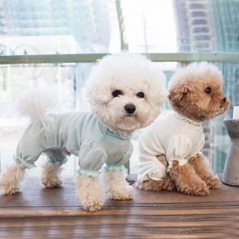 Костюм для собак трикотажный PA Валери