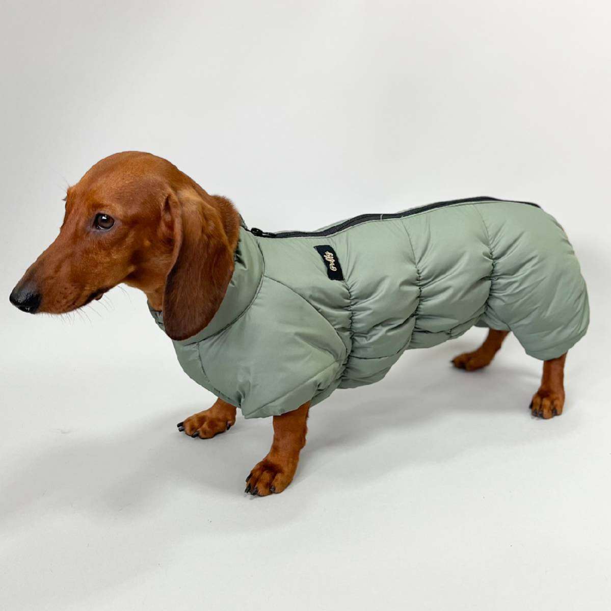 Комбинезон для таксы и корги Puffy Айвенго Оливковый