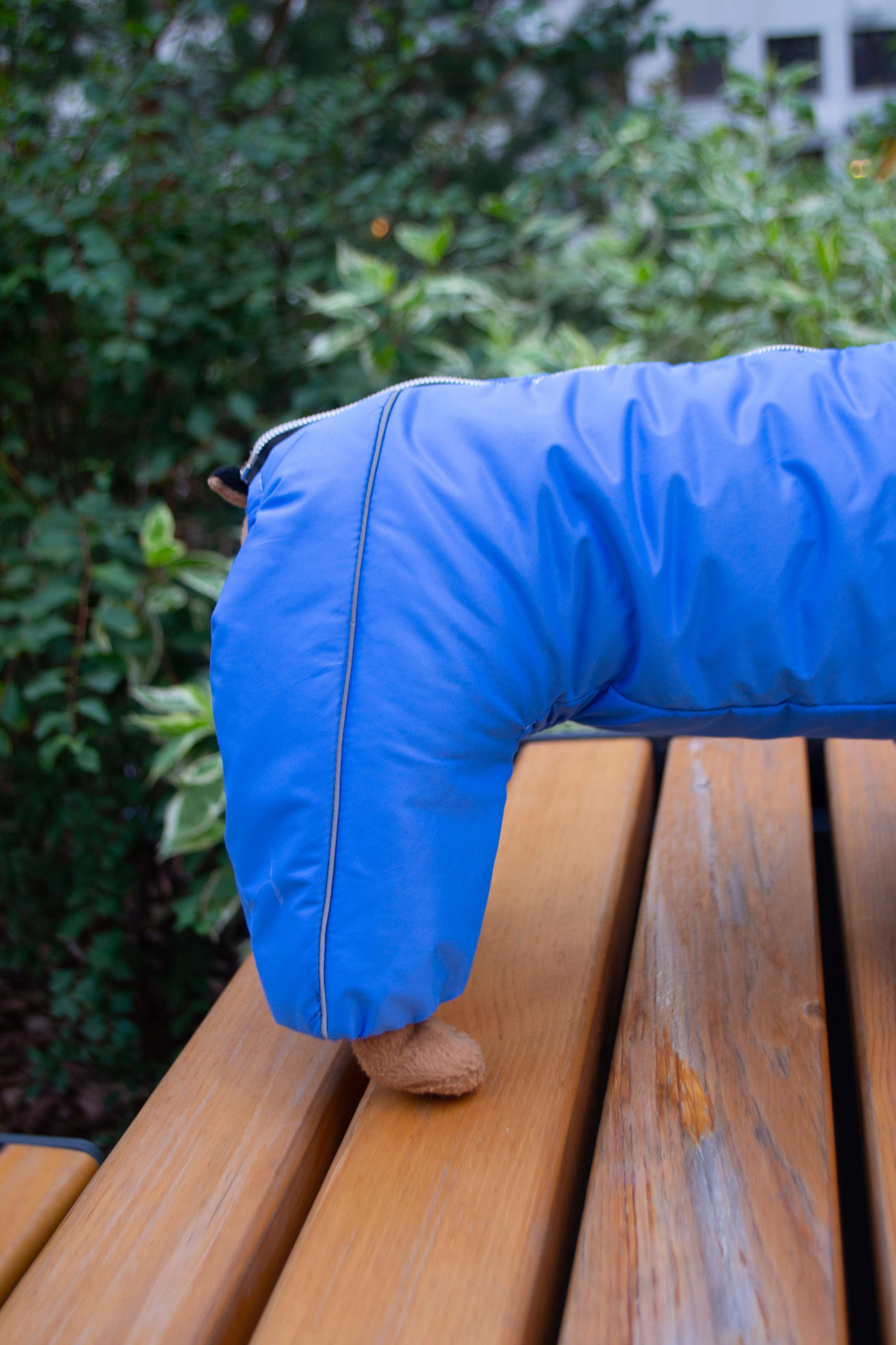 Дождевик для собаки утепленный Юнис