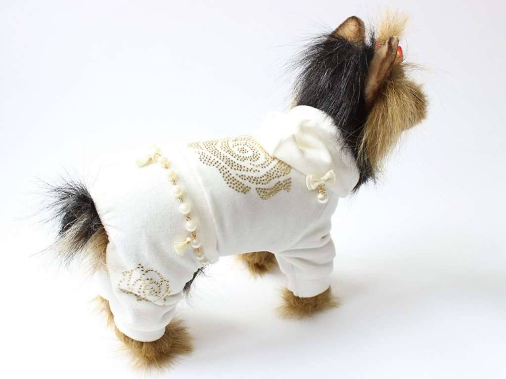 Костюм для собак велюровый Роза