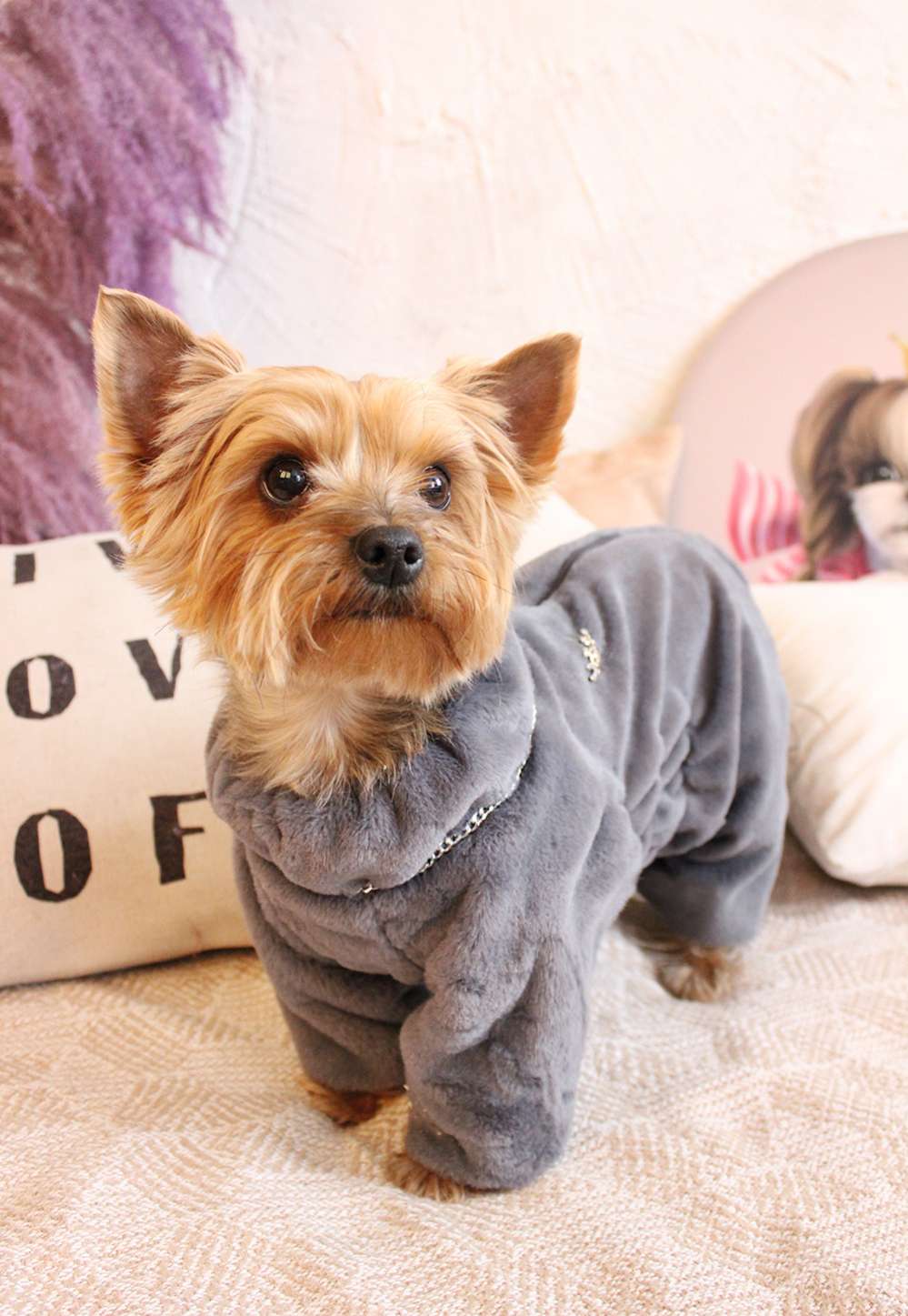 Шуба для собак для собак Puffy Морозка Маренго