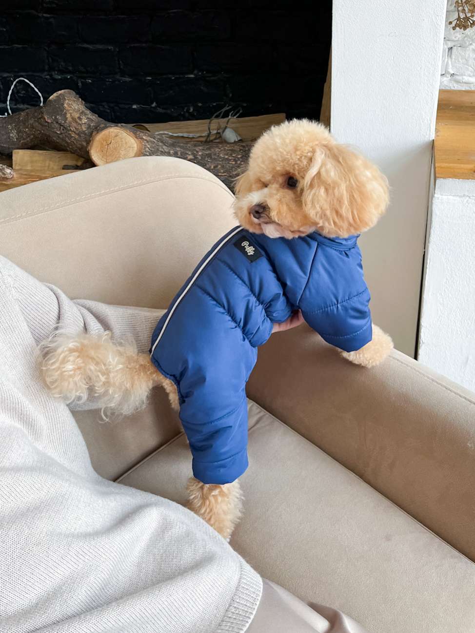 Зимний комбинезон для собак Puffy Норд Синий