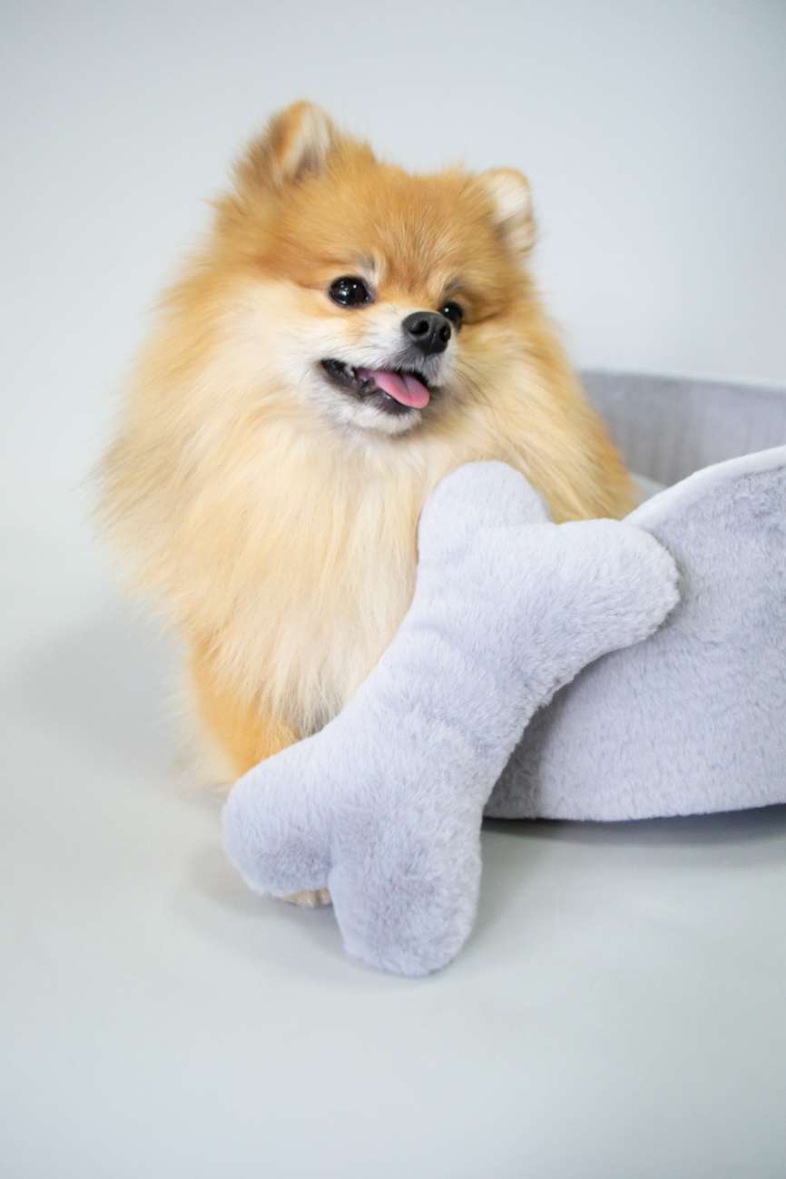 [Лежак] Лежанка для собак Puffy Сумерки