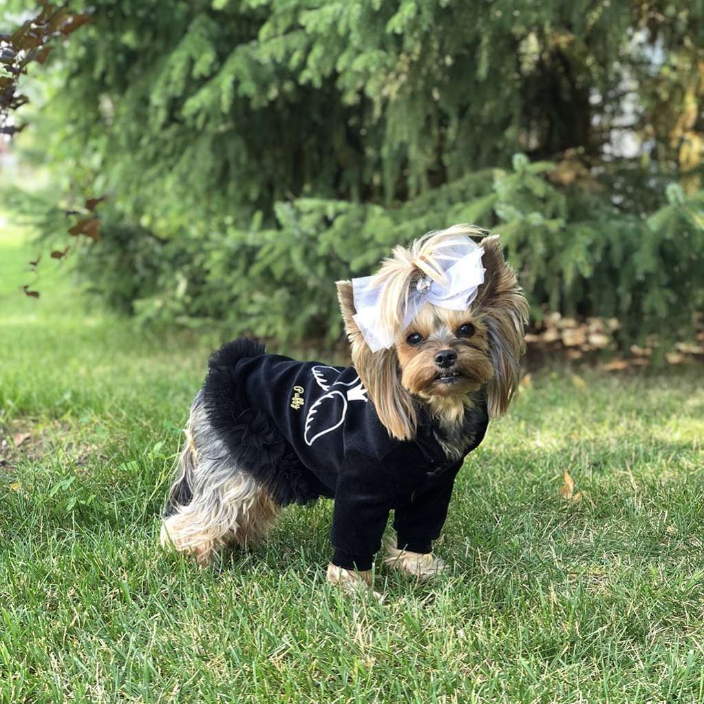 Толстовка для собаки велюровая Puffy Маленький ангел с юбкой
