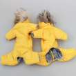Зимний комбинезон для собак Северное сияние Лимон