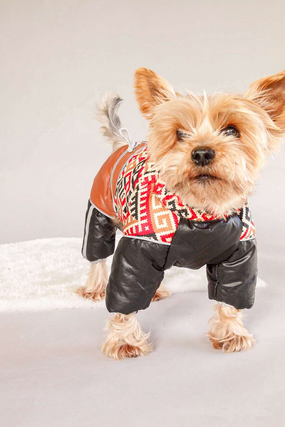 Зимний комбинезон для собак Арабика (2 цвета)