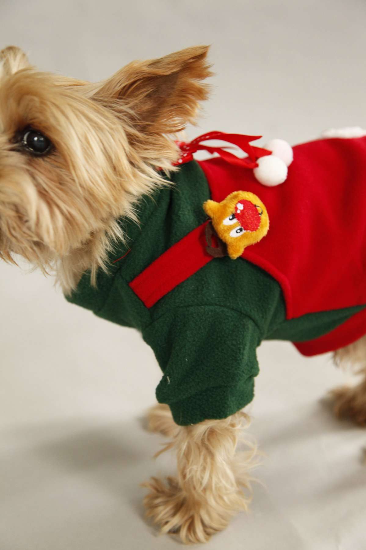 Новогодняя кофта для собаки Pet Эльф