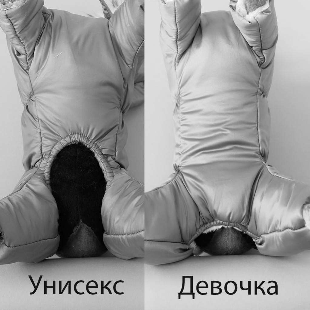 Дождевик для собаки утепленный Юнис