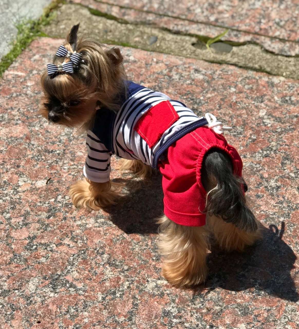 Шорты для собак Premium Якорь