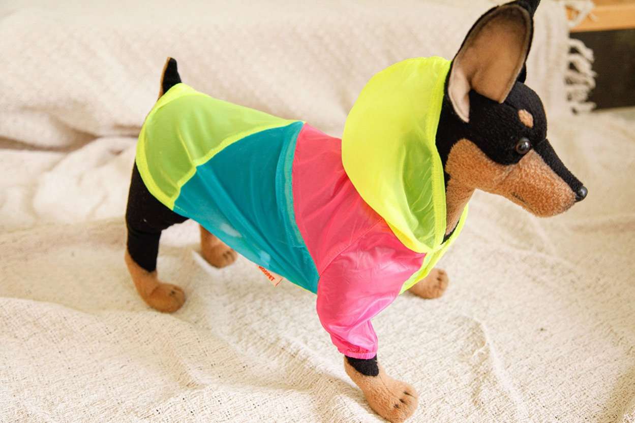 Ветровка для собак Pet Радуга