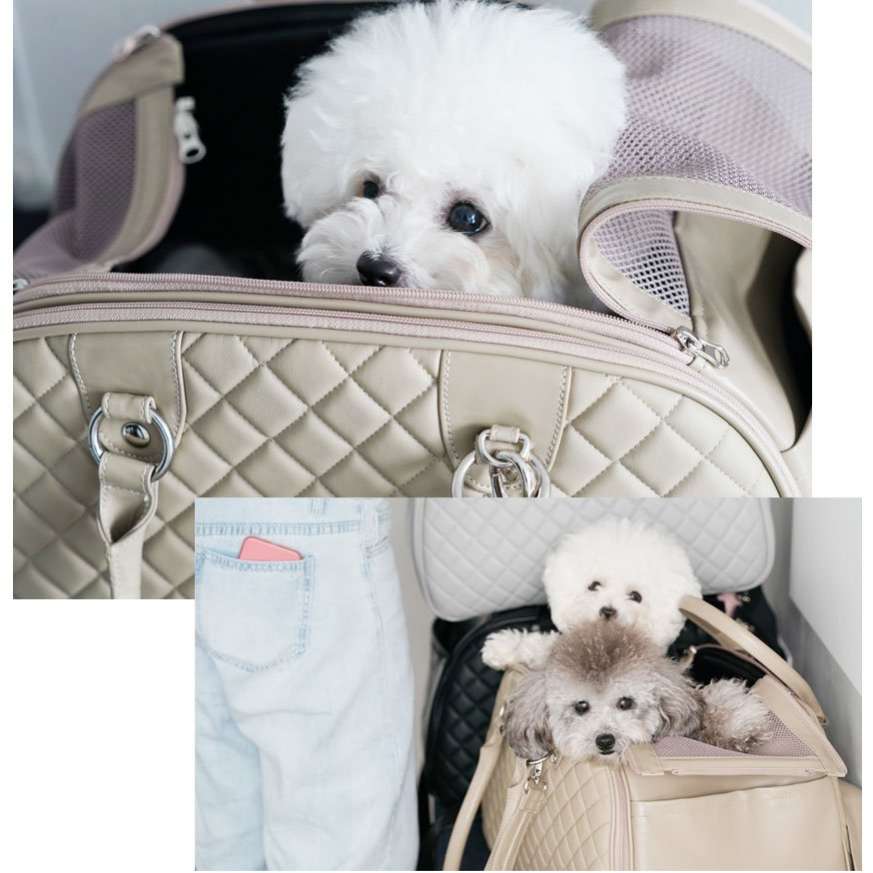 Авиапереноска для собак Стежка