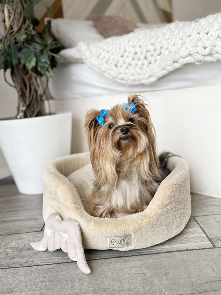 [Лежак] Лежанка для собак Puffy Нуга