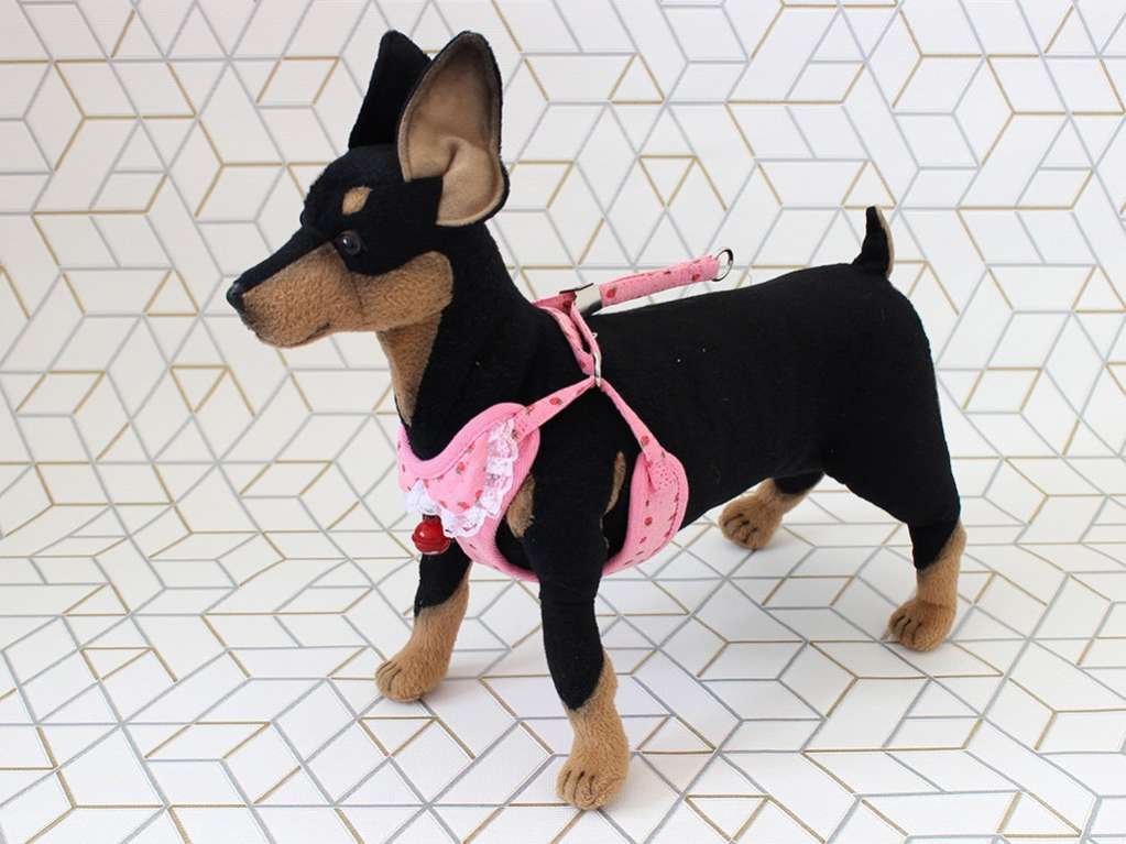 Шлейка с поводком для собак Pet Флёр