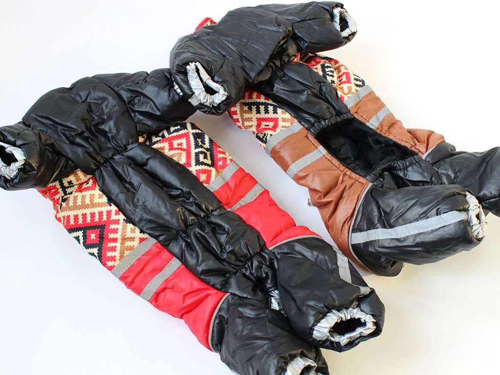 Зимний комбинезон для собак Арабика (2 цвета)