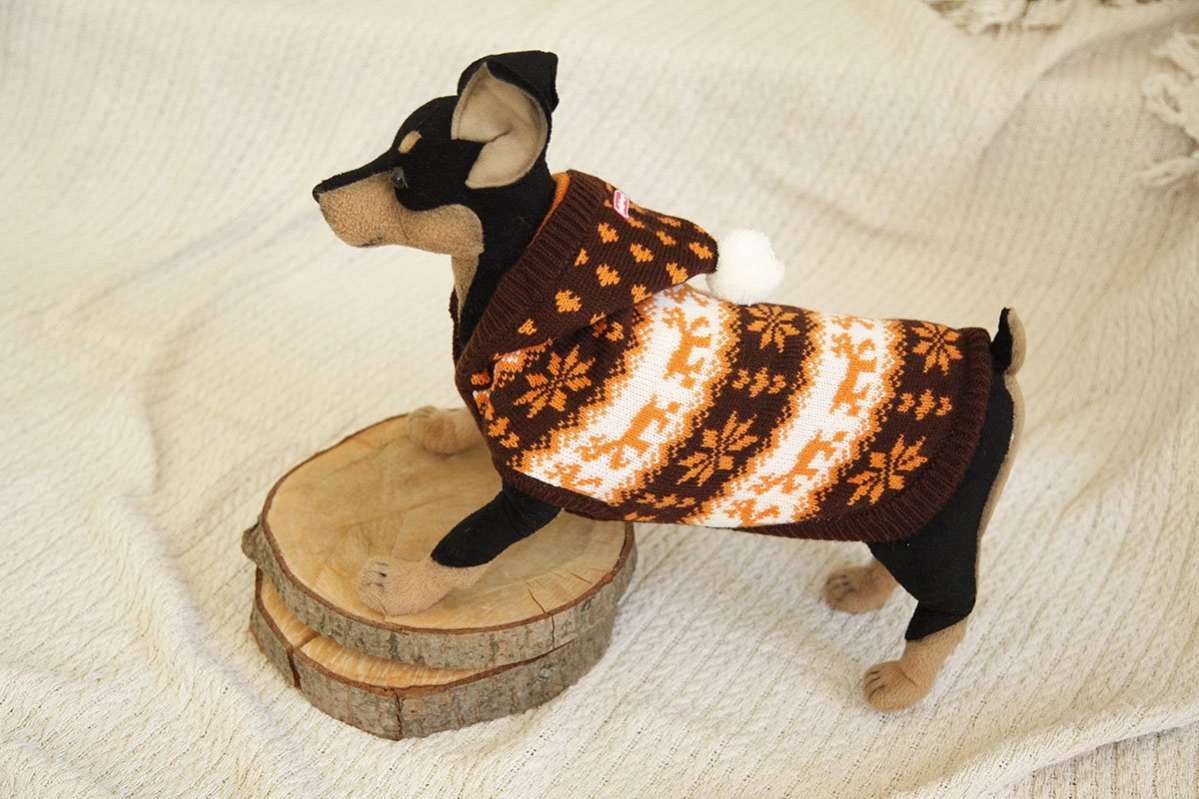 Свитер для собак с капюшоном ForMyDogs Норд