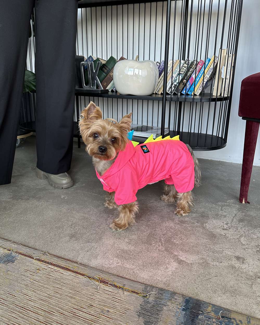 Утепленный дождевик Puffy Дино розовый