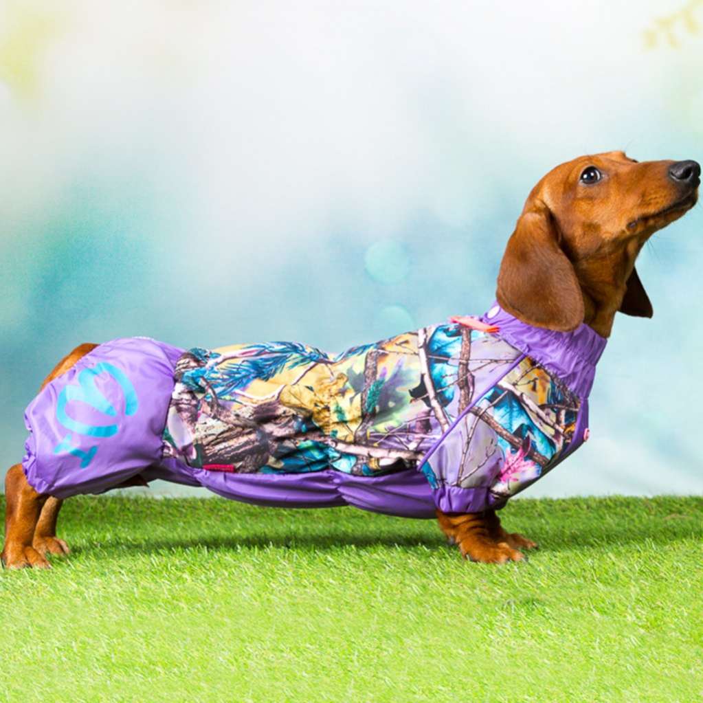 Дождевик для таксы и корги ForMyDogs Яркие краски