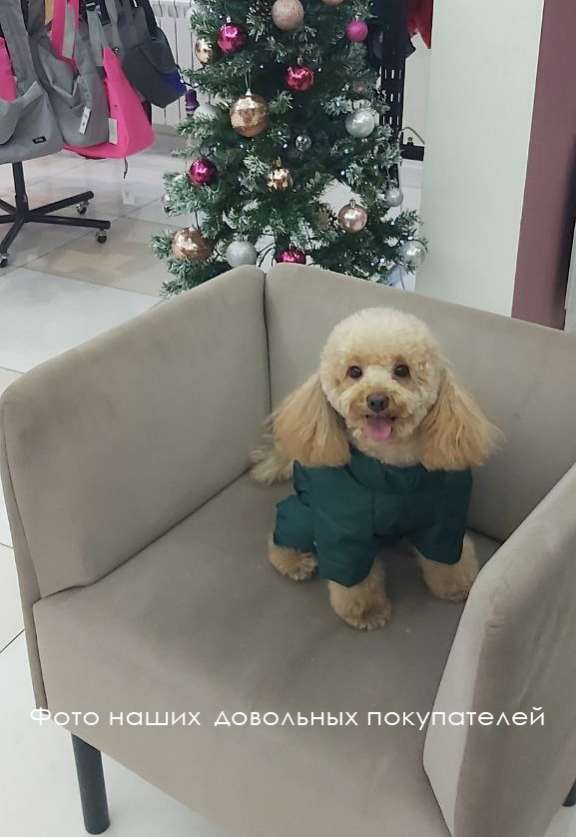 Комбинезон для собак со шлейкой Puffy Фикс изумруд