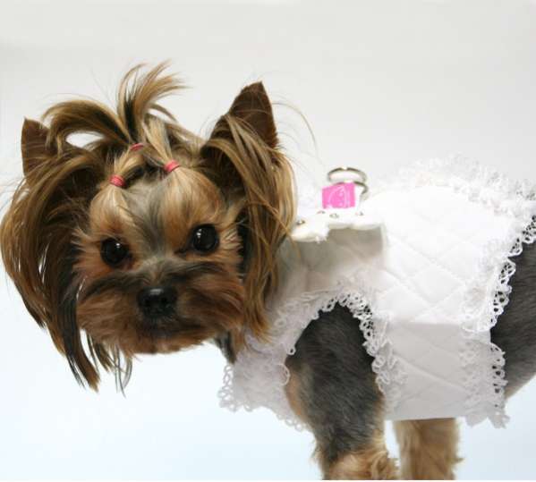 Шлейка для собак Abby Крылья