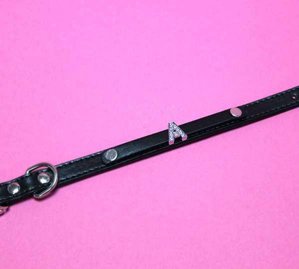 Ошейник для собак с именем двойной