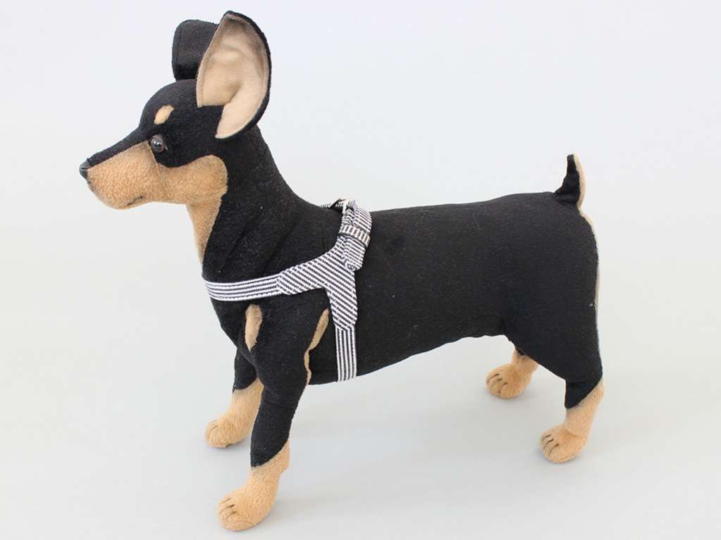 Шлейка для собак Pet Стрип