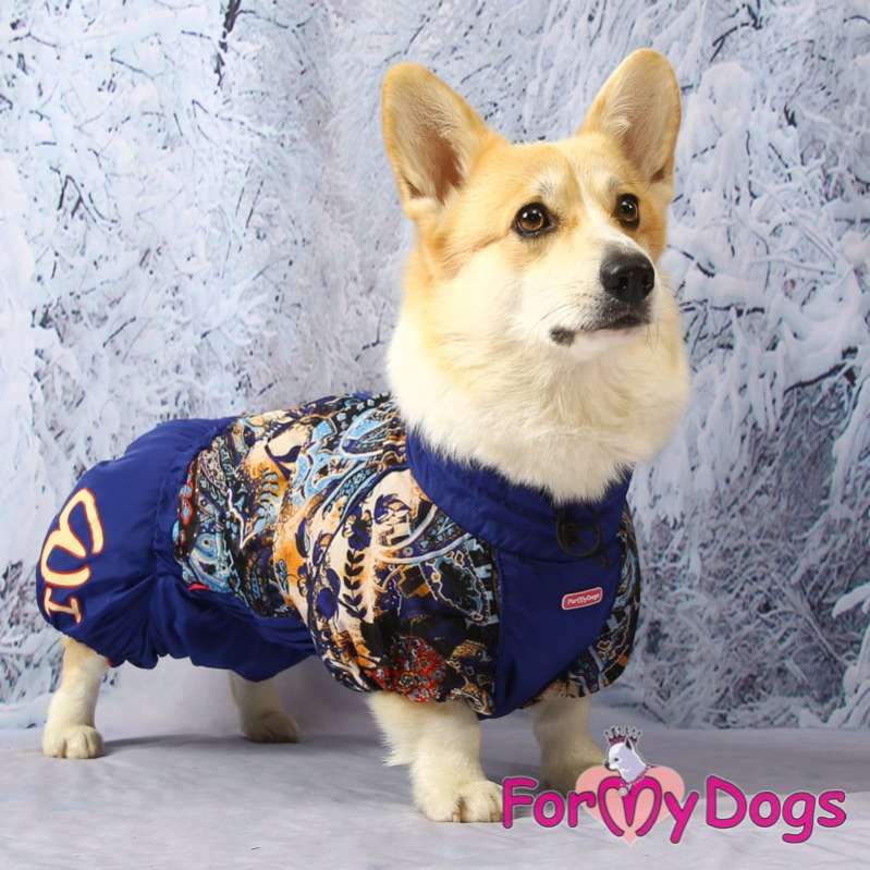 Комбинезон для таксы и корги ForMyDogs Цветник