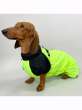 Дождевик для таксы и корги Puffy Лайм Салатовый