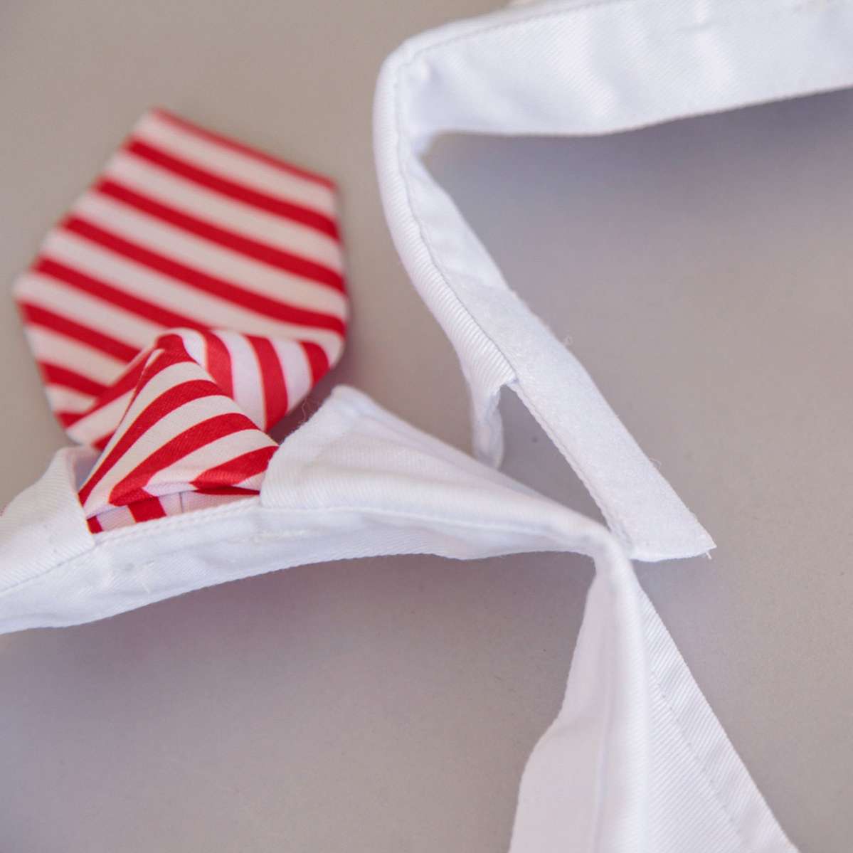 Галстук для собак Pet Boss