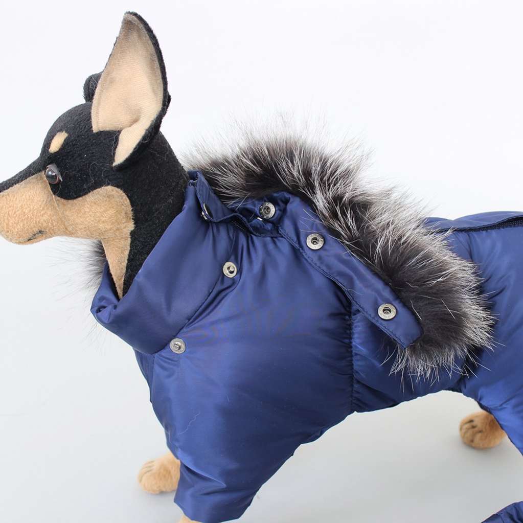 Зимний комбинезон для собак Северное сияние Гавана