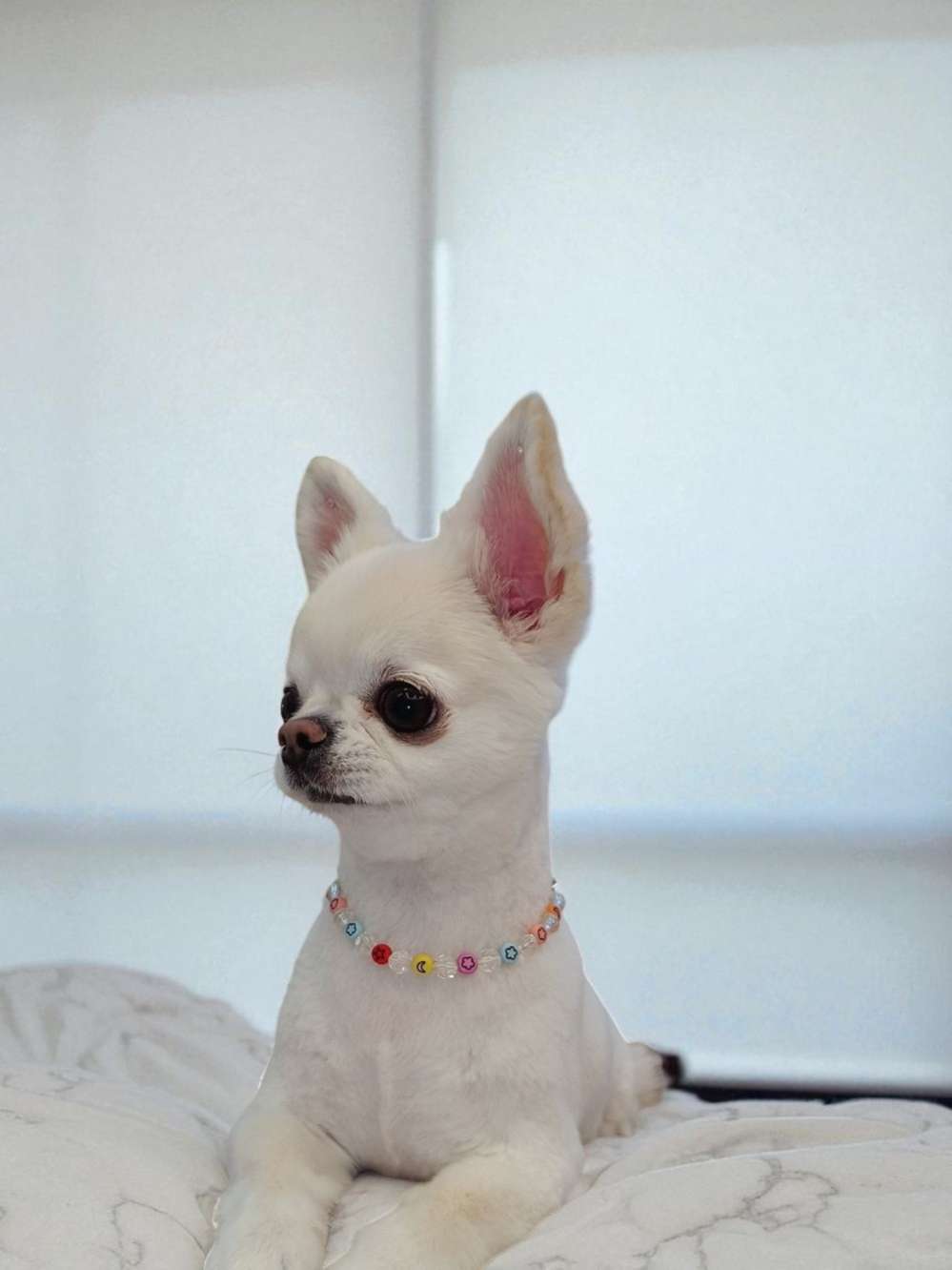 Ожерелье Мульти