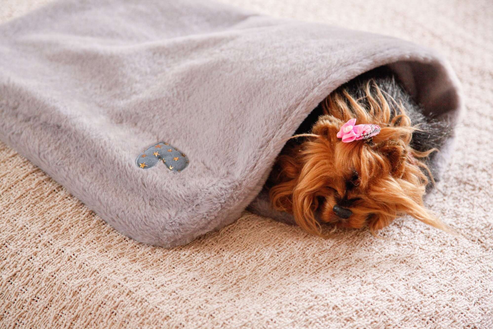 Плед для собаки Puffy Сумерки