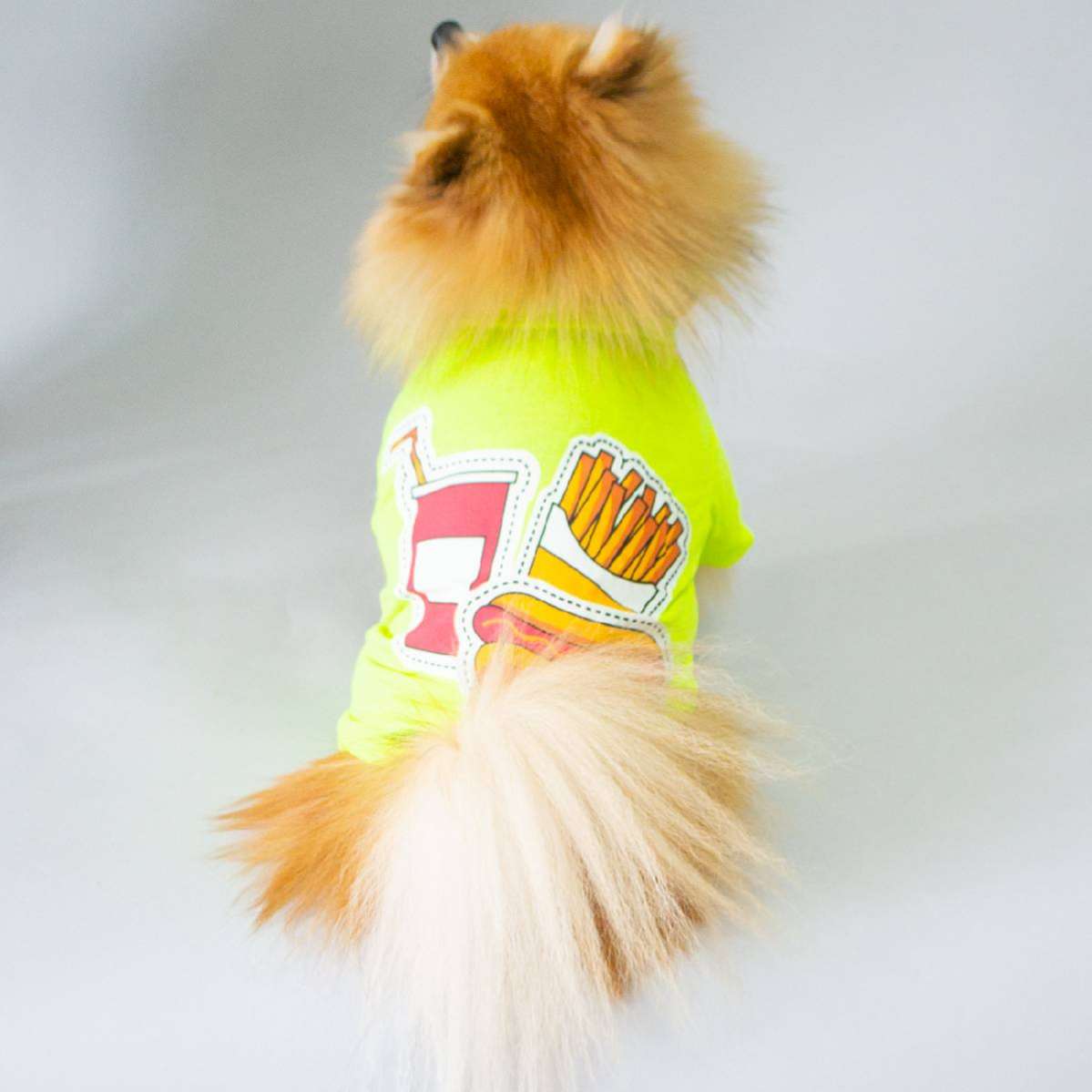 Футболка для собаки Pet Ланч