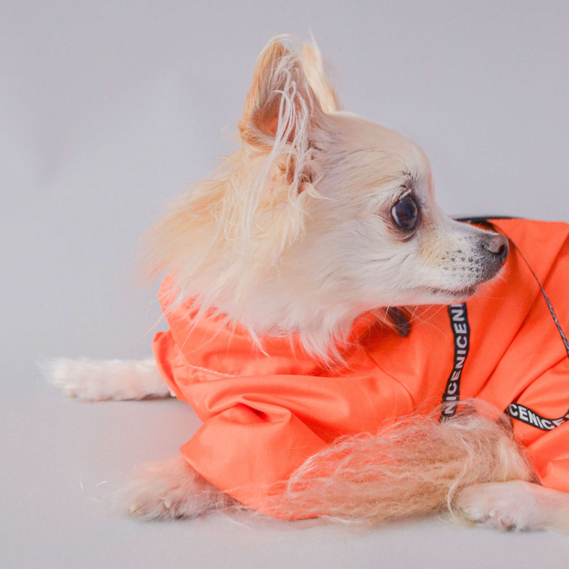 Дождевик для собаки Puffy Найс