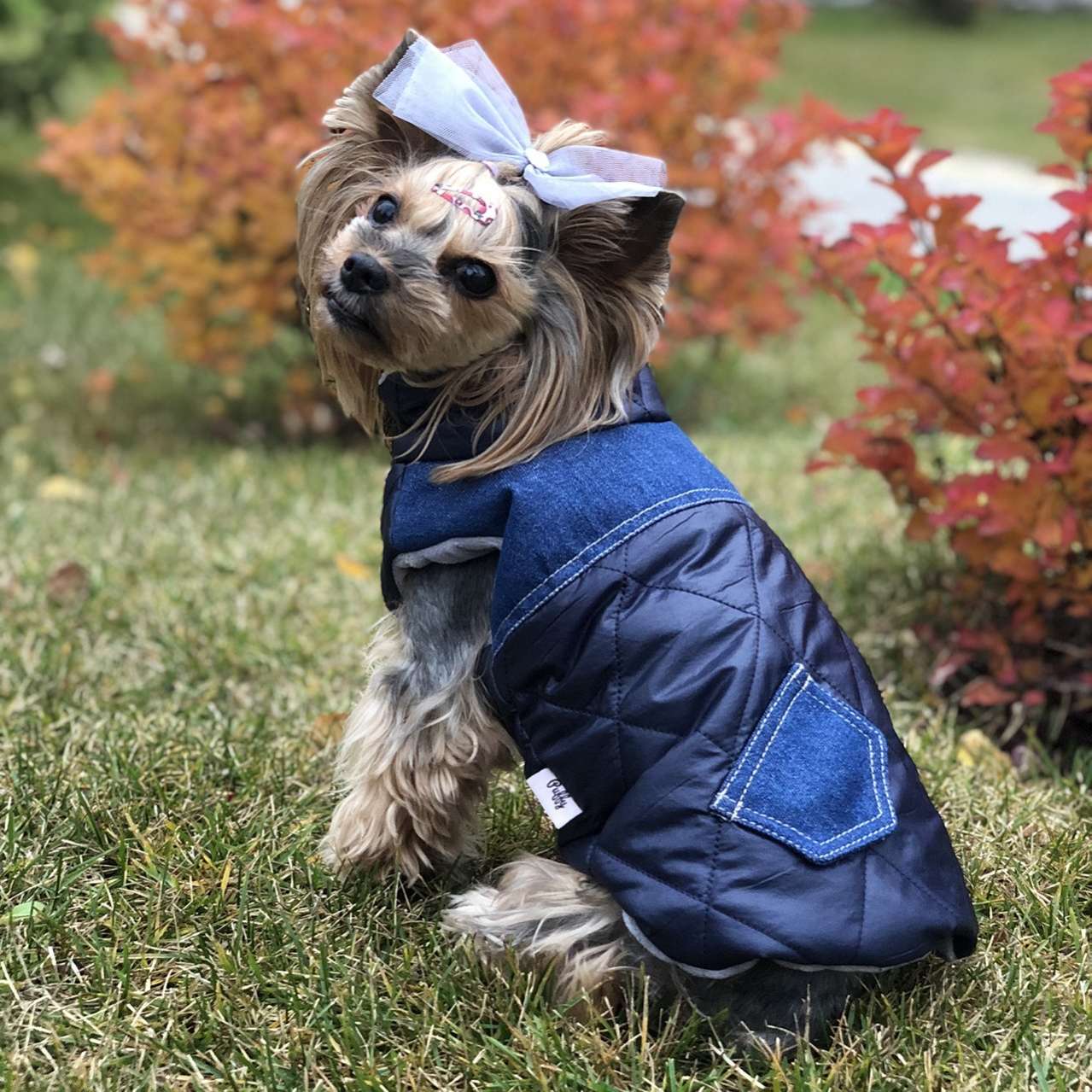 Жилетка для собаки Puffy Casual