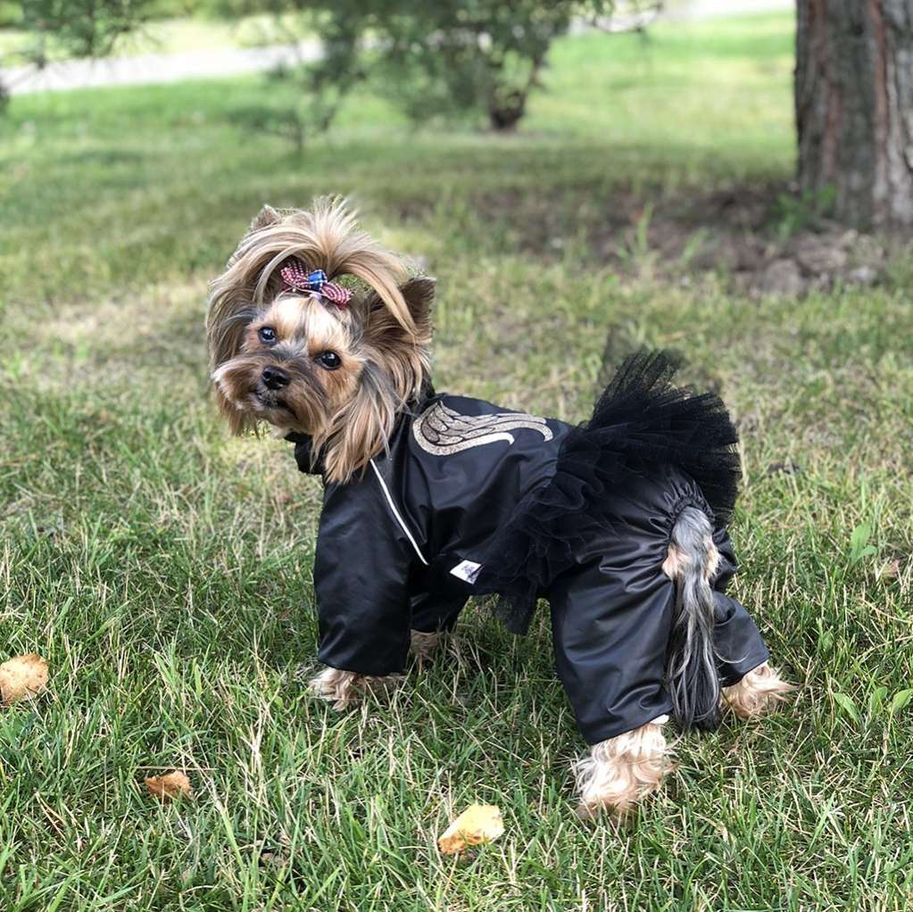 Дождевик для собаки утепленный Puffy Angel с юбкой