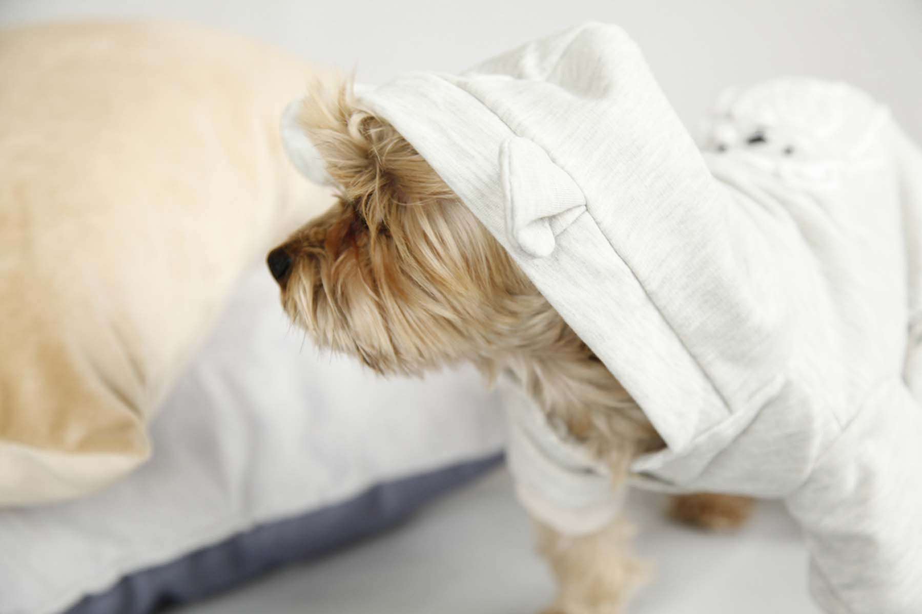 Костюм для собак трикотажный Pet Балу