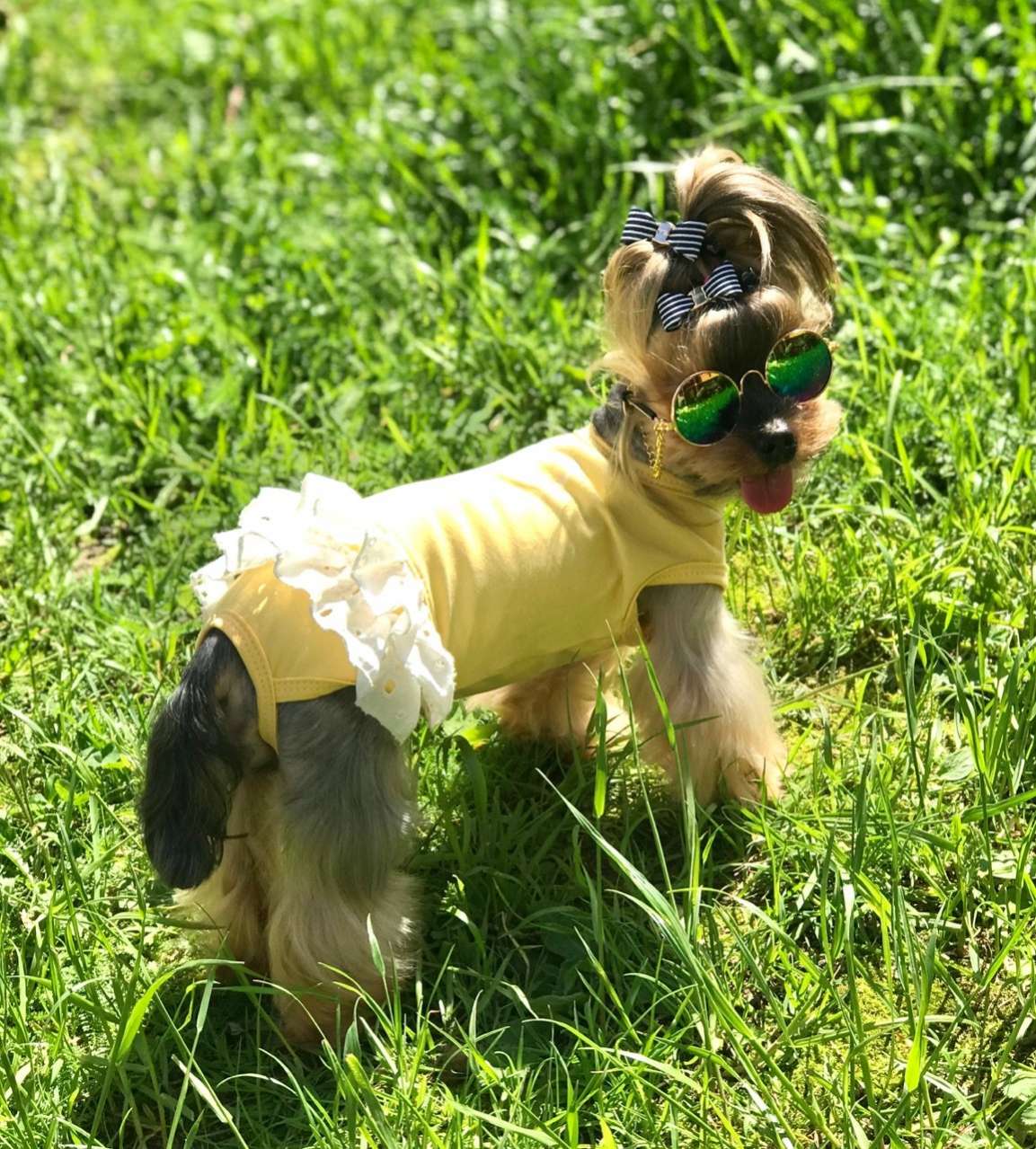 Майка для собаки Песочник Premium Бантик