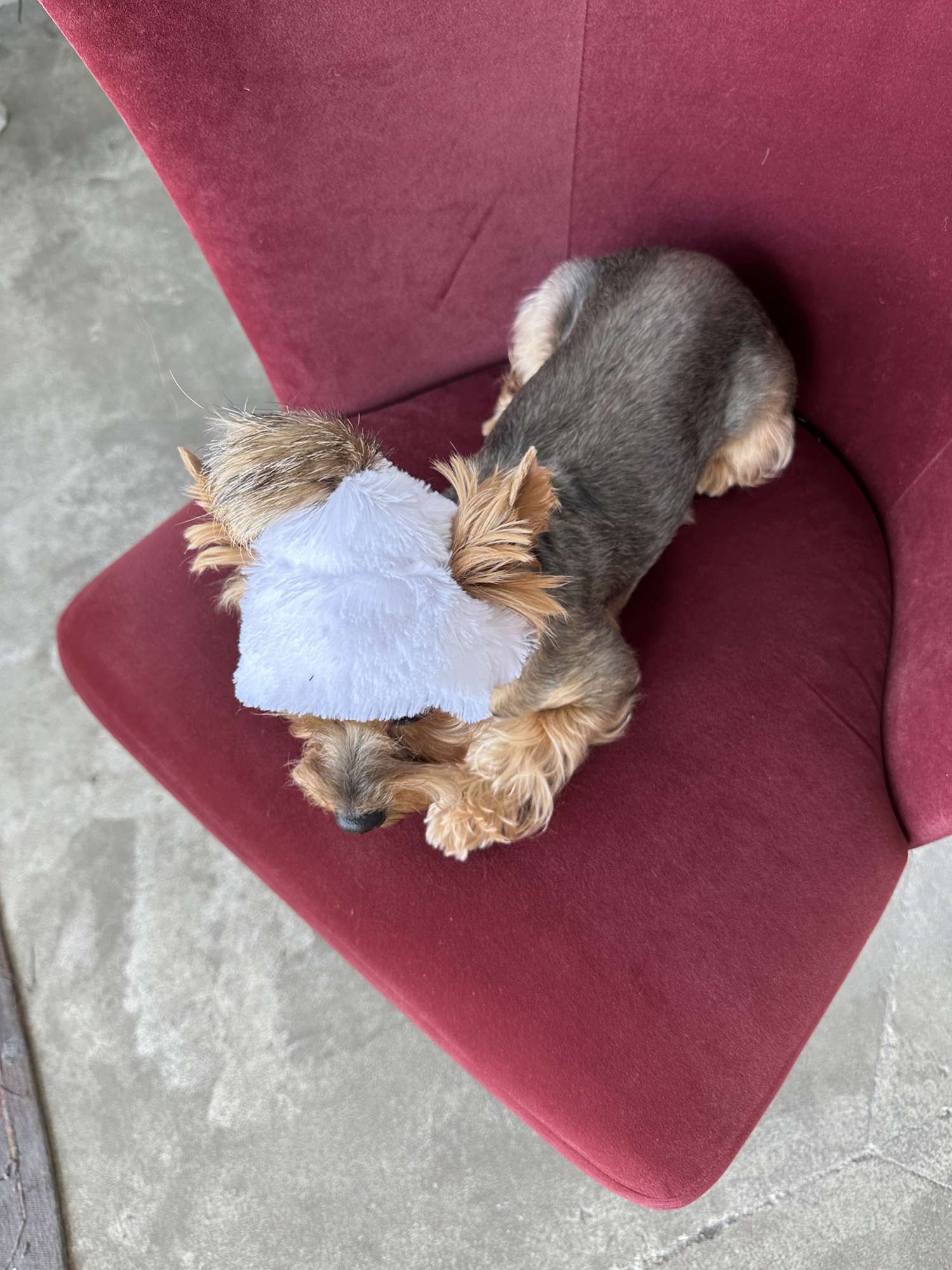 Шапка для собаки Puffy Зимушка