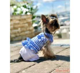 Майка для собаки Premium Зефир